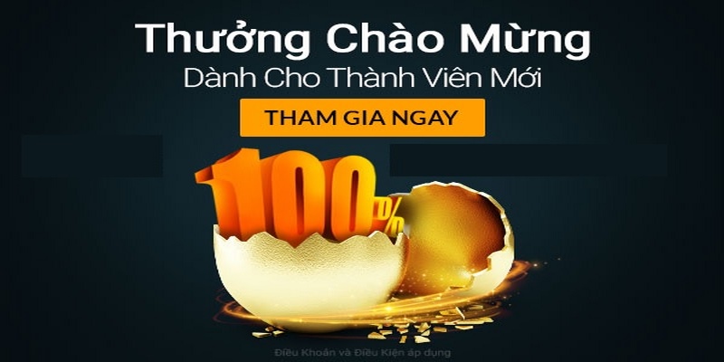 Chi tiết nội dung khuyến mãi